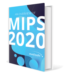 2020-MIPS-eBook_Image_Mockup