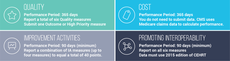 MIPS-Category-Requirements