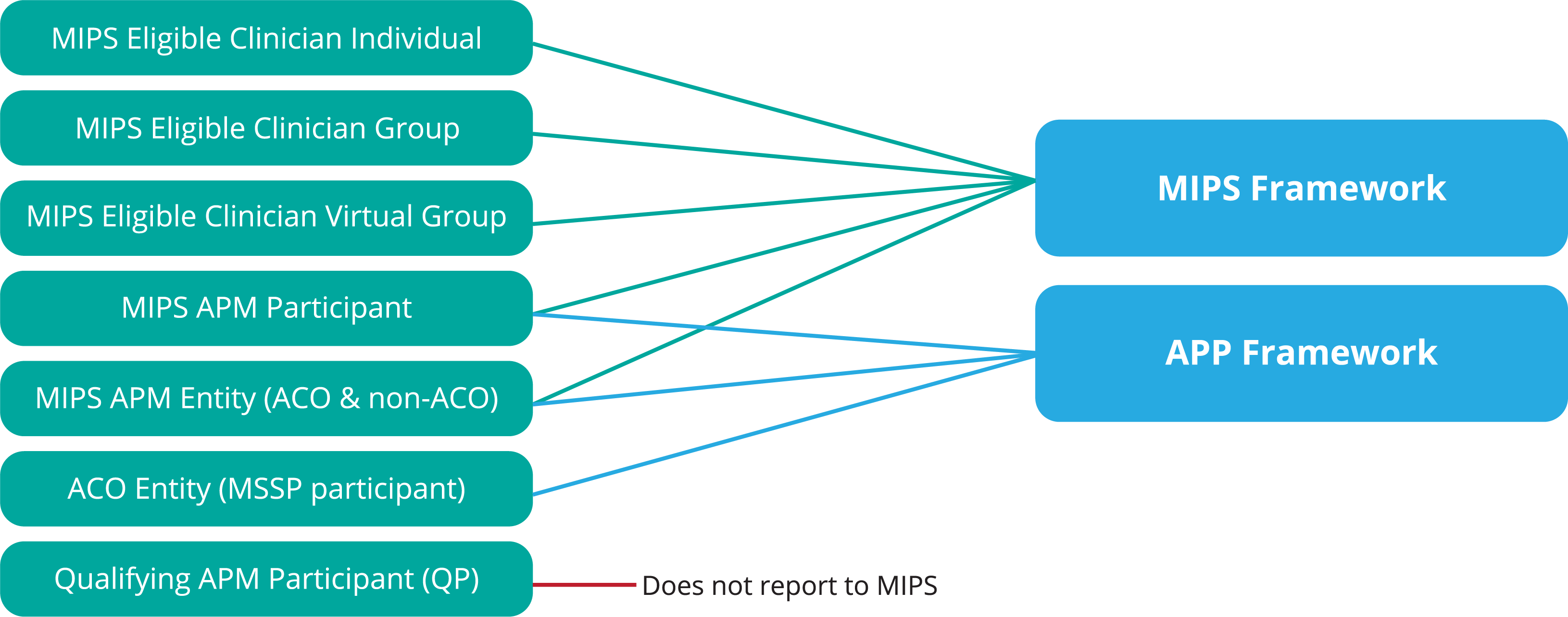 MIPS 2021 Requirements