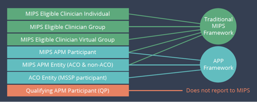 2022 MIPS Reporting Options