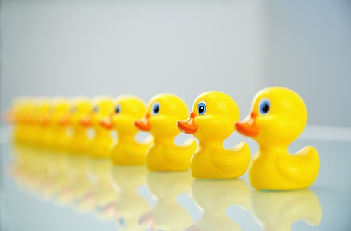 Ducks-in-Row