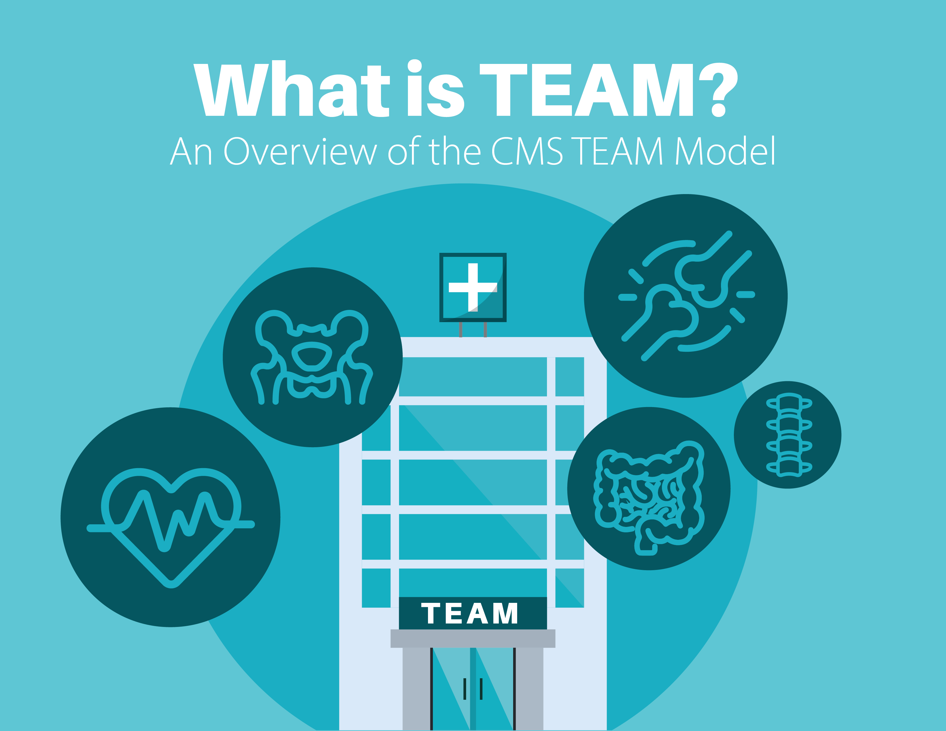 What is TEAM? An Overview of the CMS TEAM Model